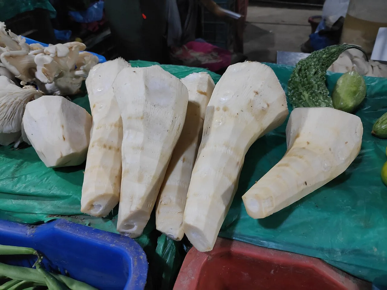 Bamboo Shoot backdrop