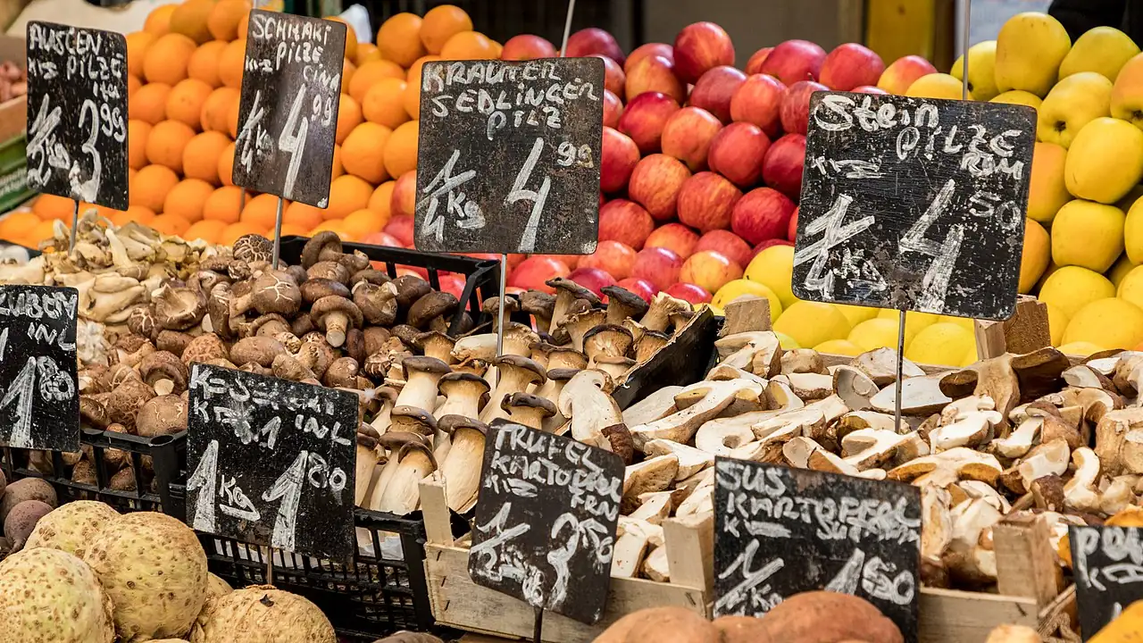 Mushroom backdrop