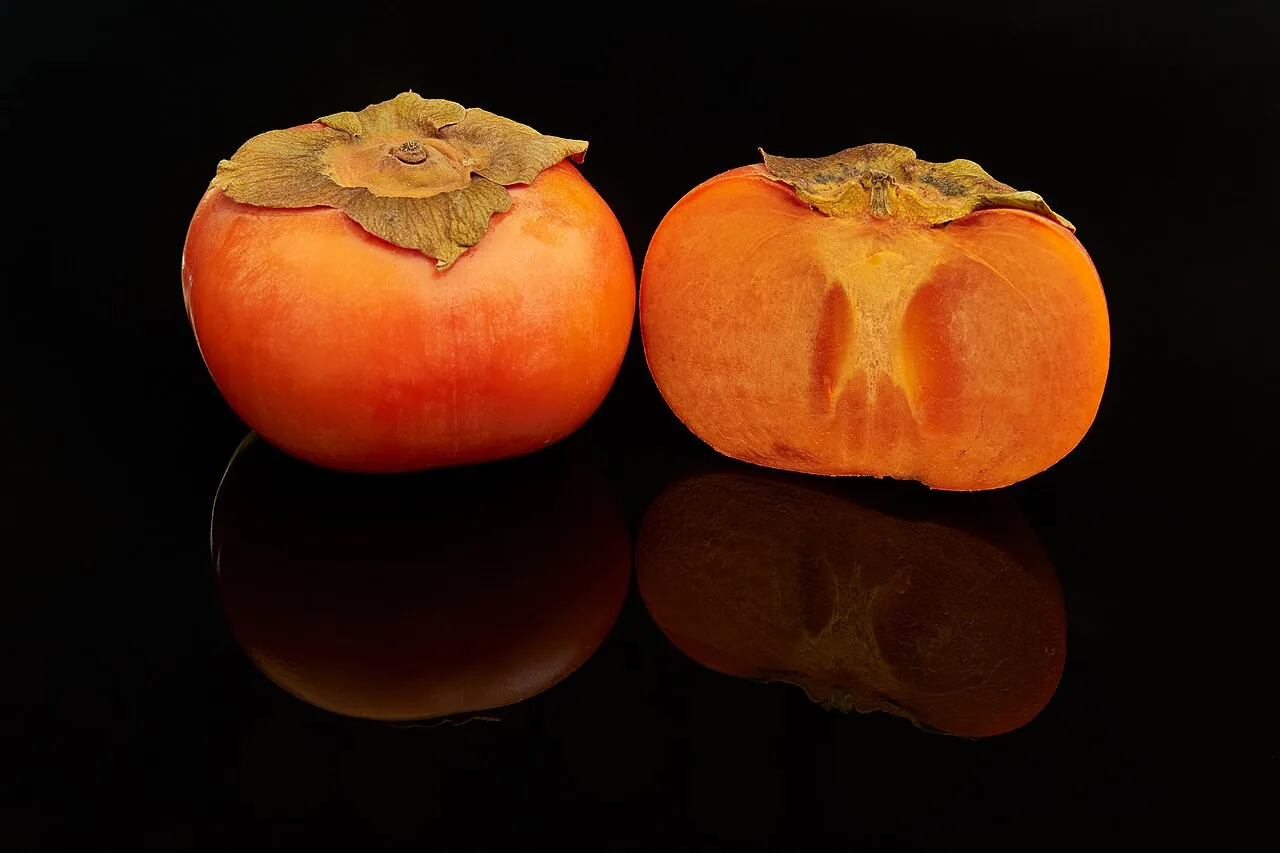Persimmon backdrop