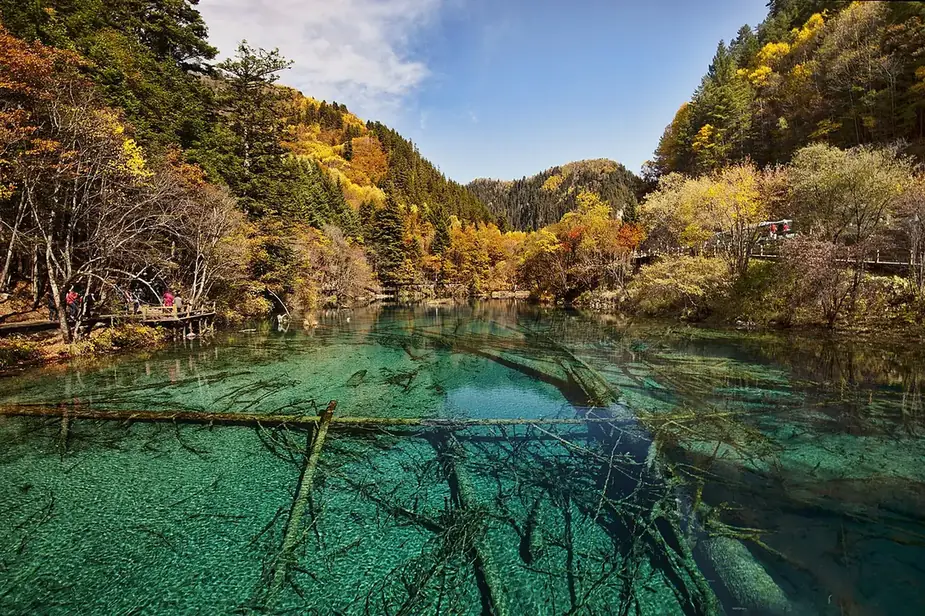 Sichuan backdrop