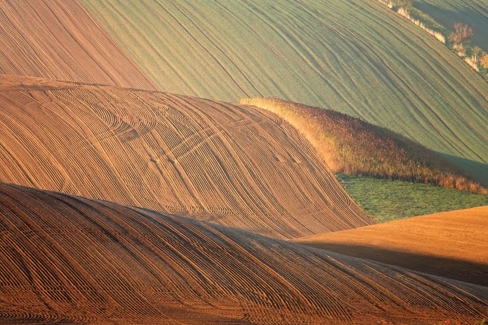 Seasonal fields behind the domain layer